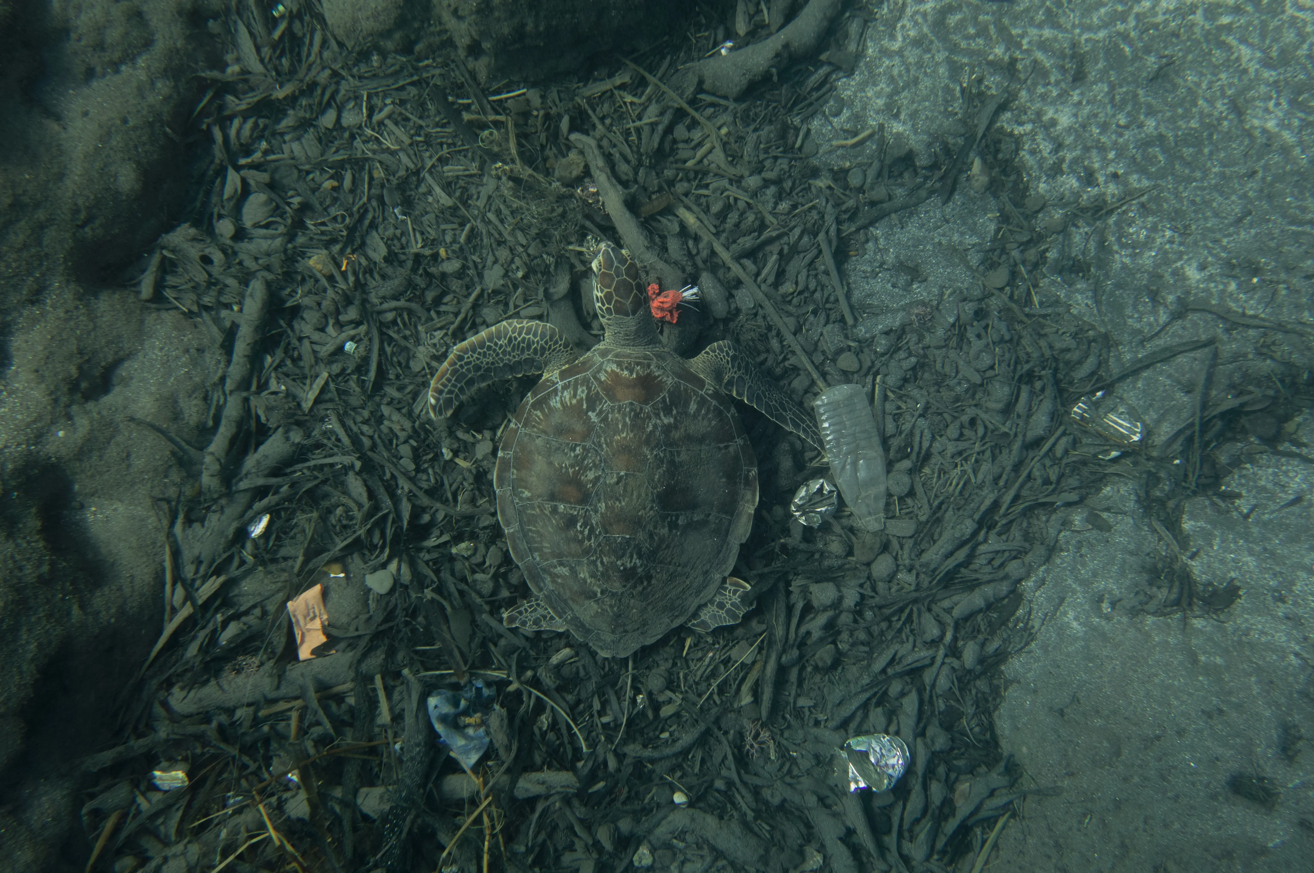 /photo/pollution/polution.webp
